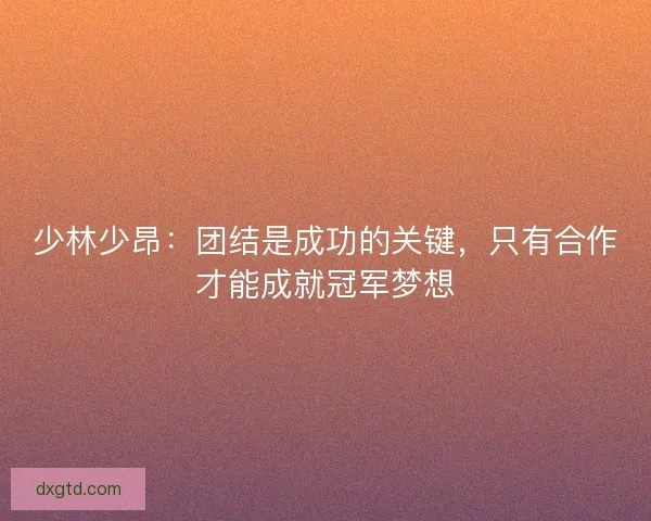 少林少昂：团结是成功的关键，只有合作才能成就冠军梦想