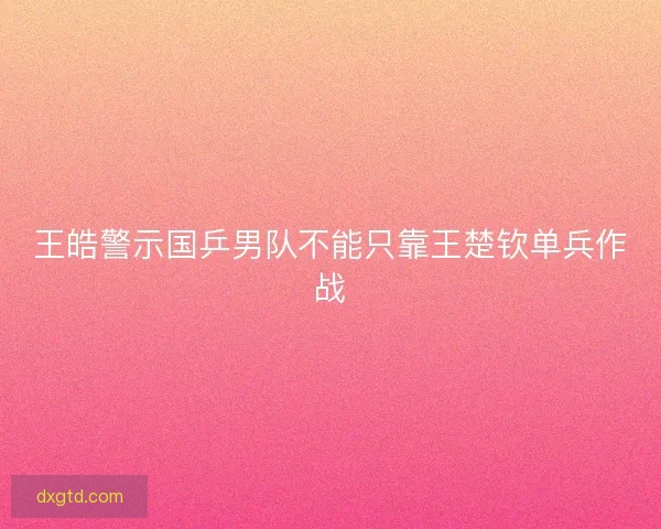 王皓警示国乒男队不能只靠王楚钦单兵作战